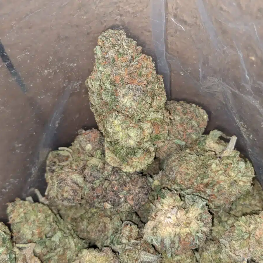 Zkittles 3 I $ 45 Oz - Zkittles