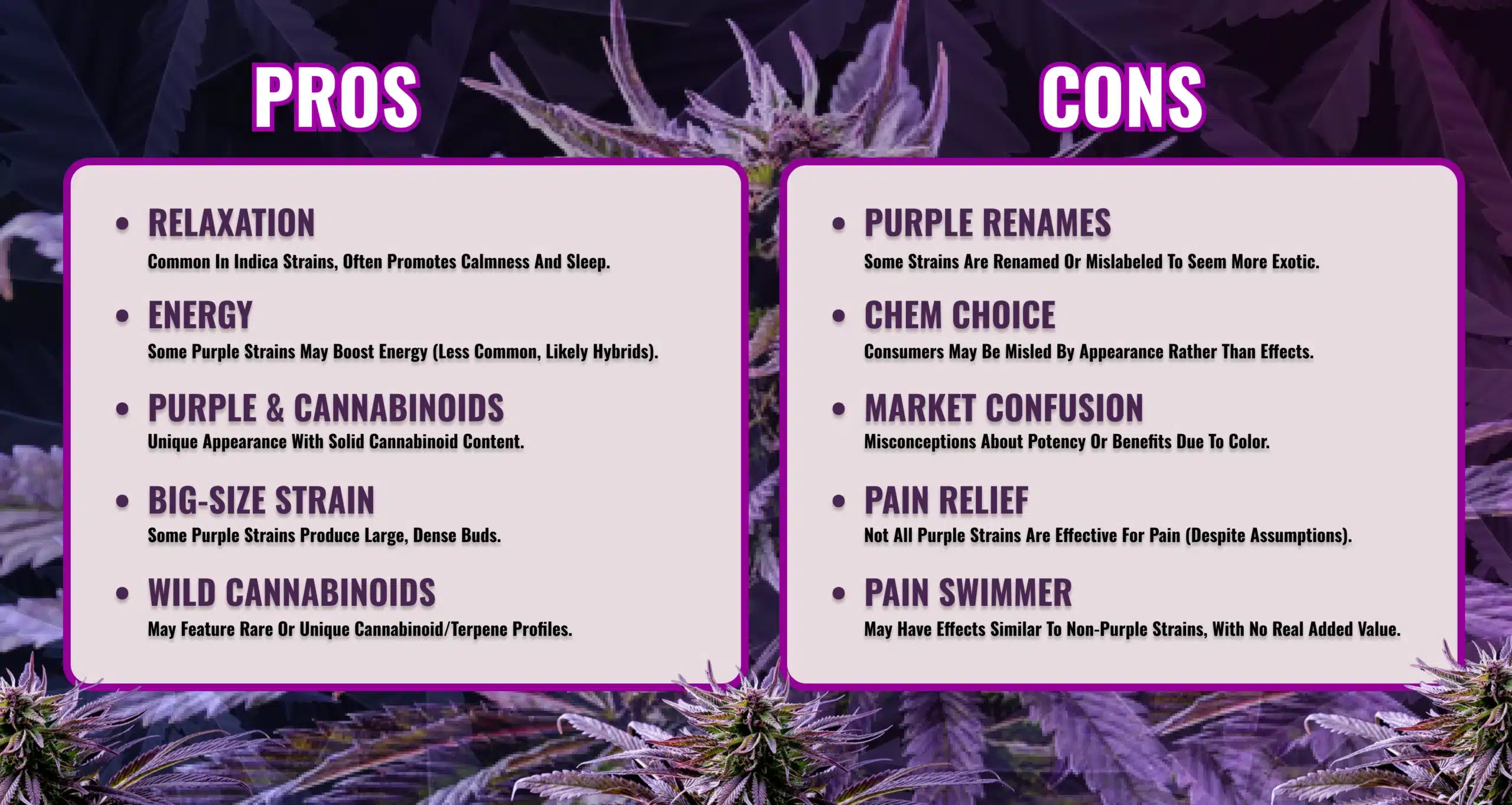 Purple weed