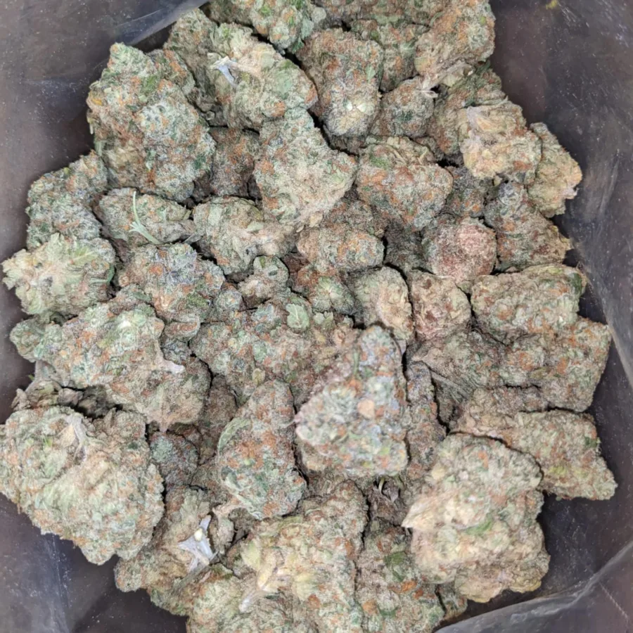 $40oz Mataro Blue - Image 5