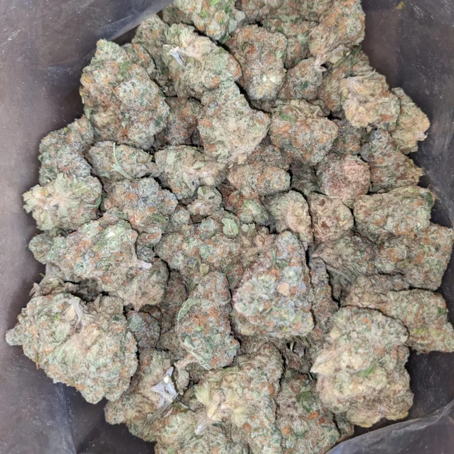 $40oz Mataro Blue - Image 4