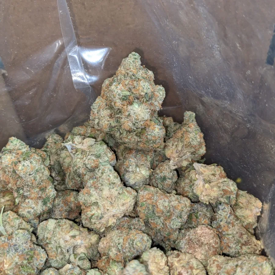 $40oz Mataro Blue - Image 6