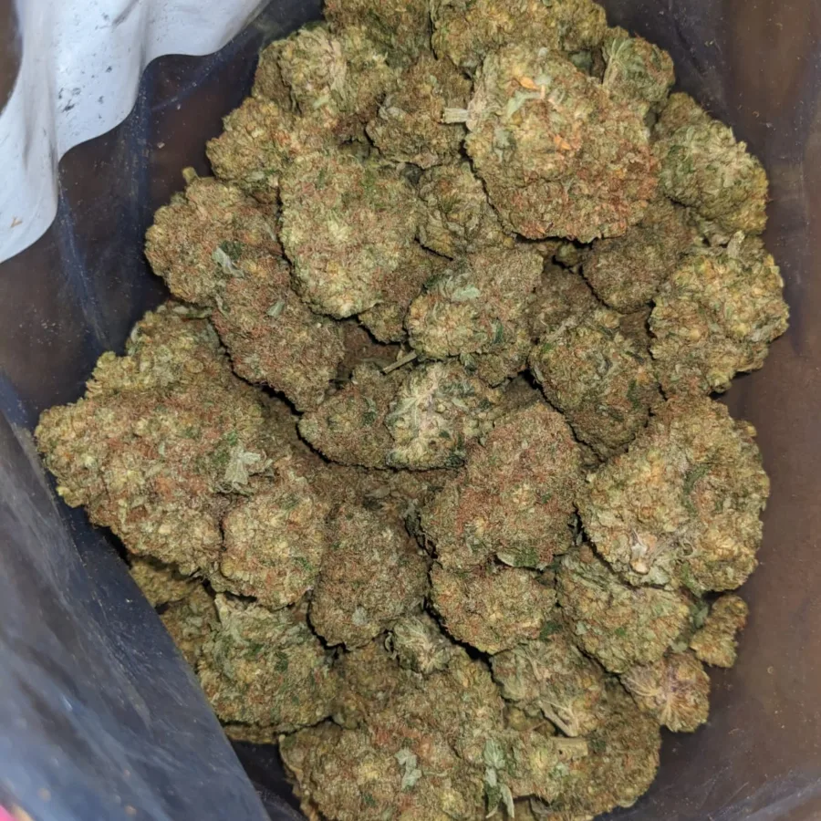 40 Oz Ninja Fruit 1 I $40oz Ninja Fruit