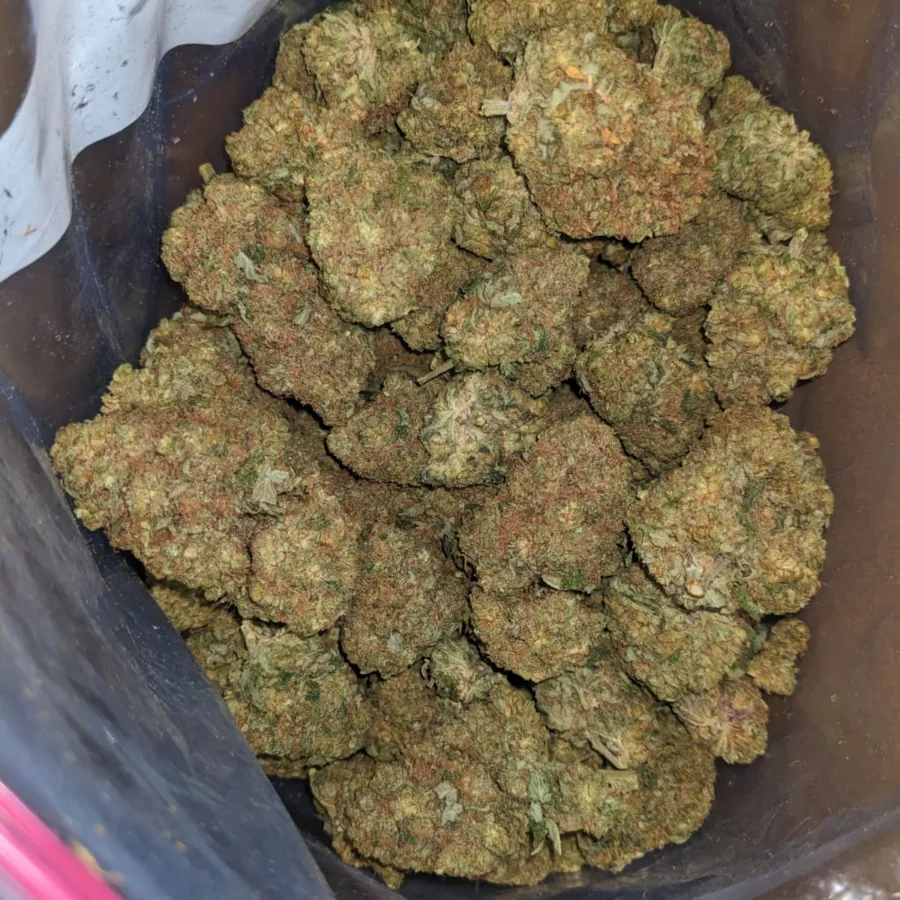 40 Oz Ninja Fruit 2 I $40oz Ninja Fruit