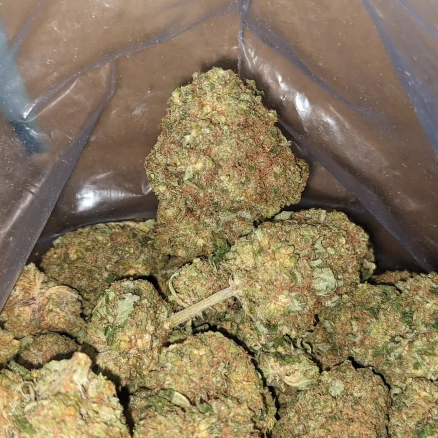 40 Oz Ninja Fruit 3 I $40oz Ninja Fruit