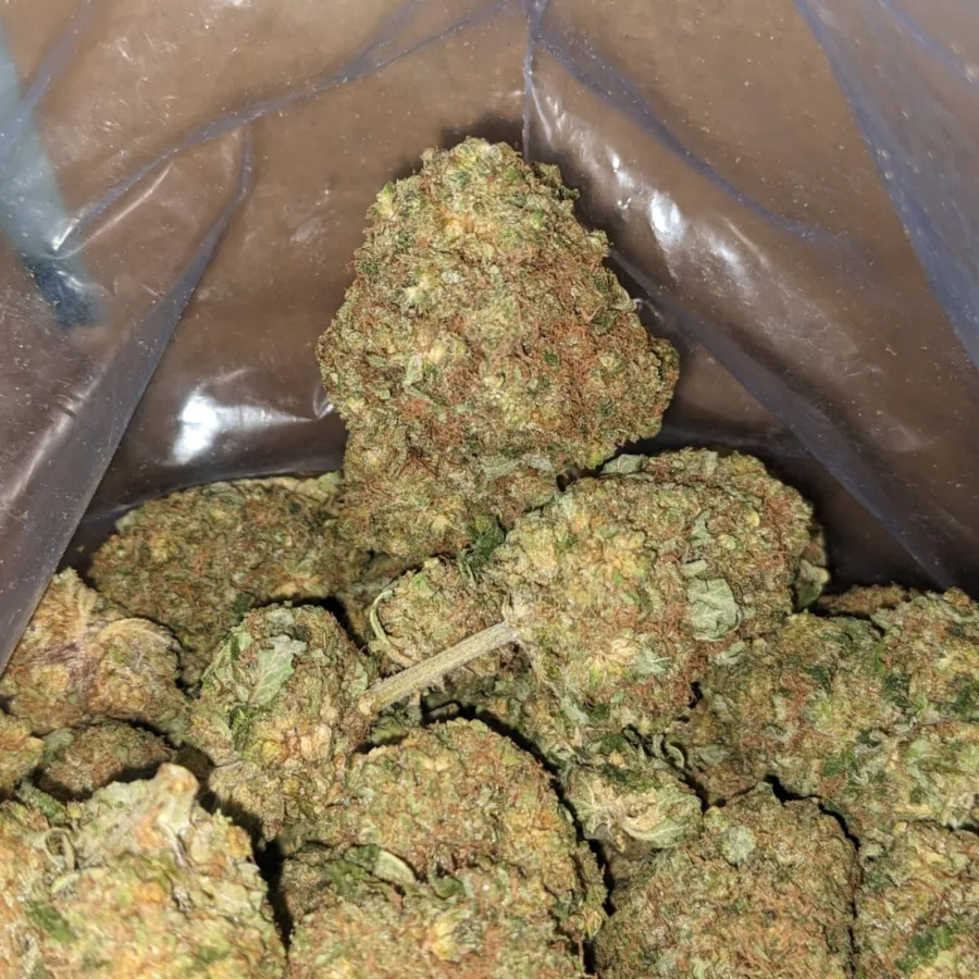 40 Oz Ninja Fruit 4 I $40oz Ninja Fruit