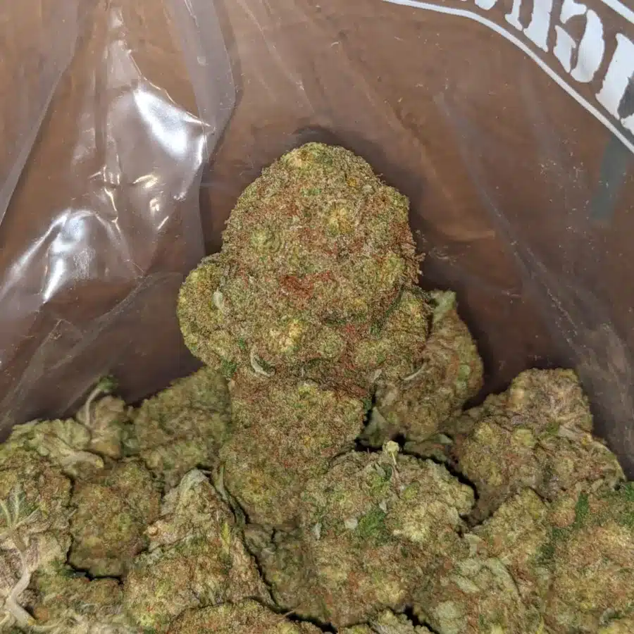 Apple fritter 1 1 I $ 52 Oz - Apple Fritter