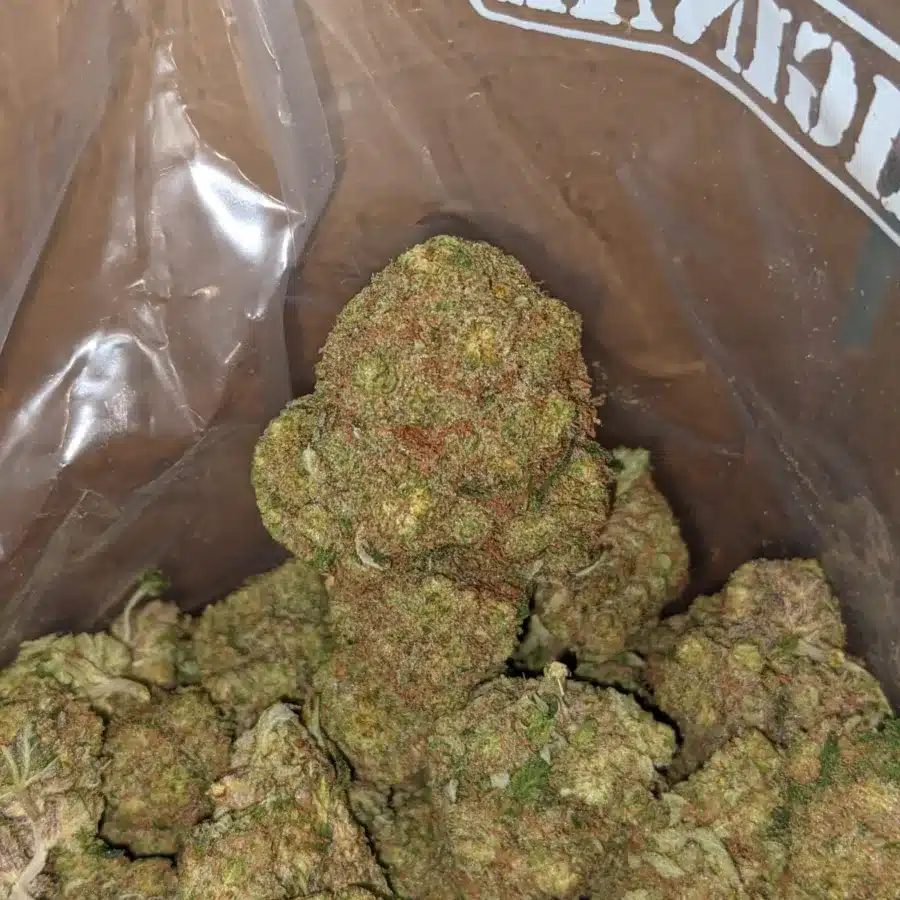 Apple fritter 2 1 I $ 52 Oz - Apple Fritter