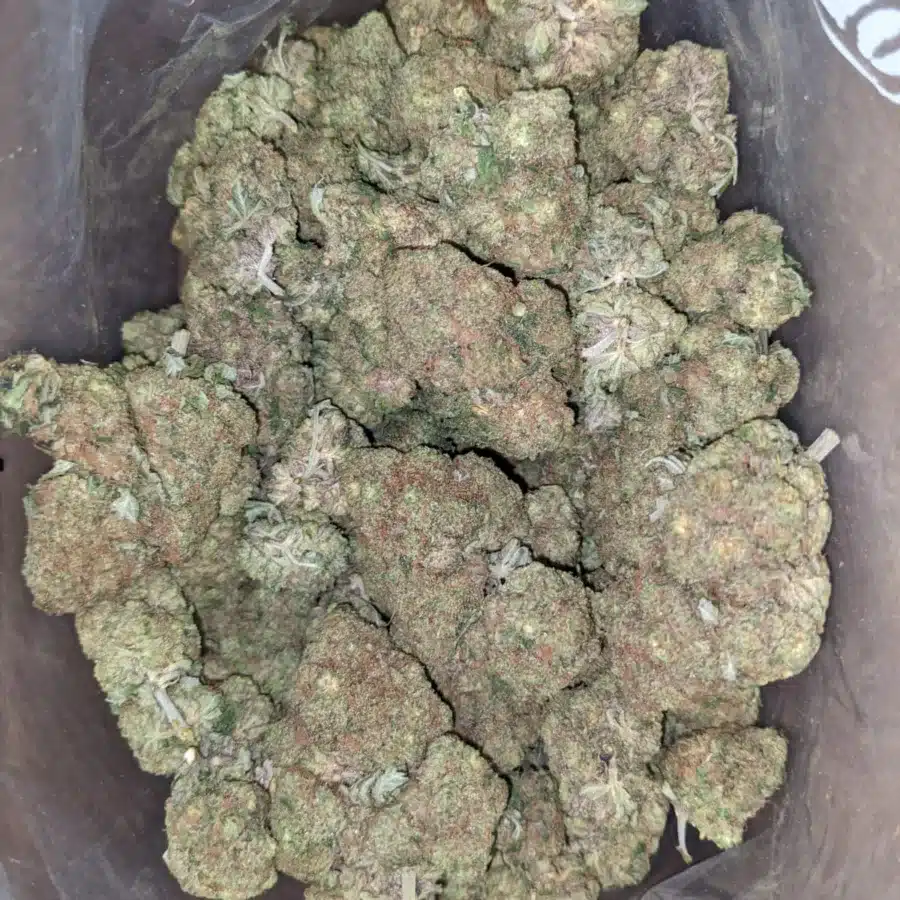 Apple fritter 4 I $ 52 Oz - Apple Fritter