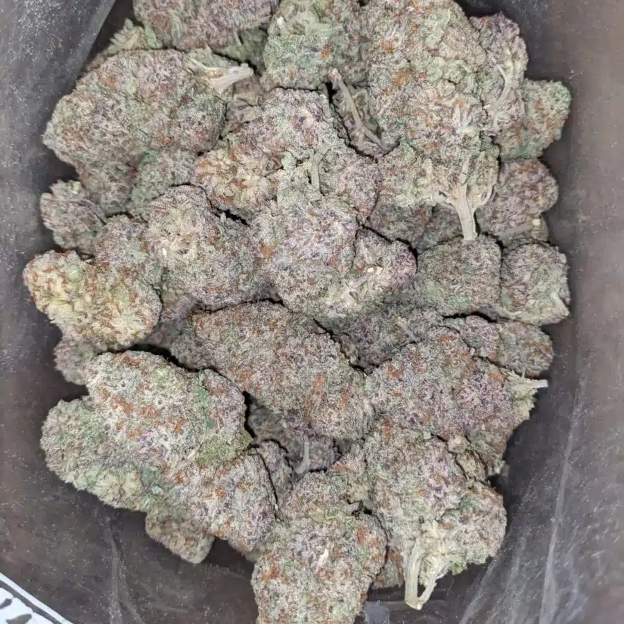 Blue coma 2 1 I $ 81 Oz - Blue Coma