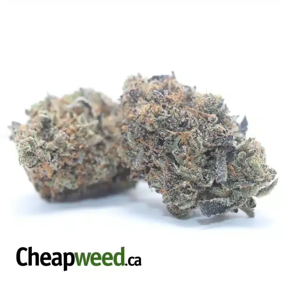 EL JEFE 3 I $ 107 Oz - El Jefe