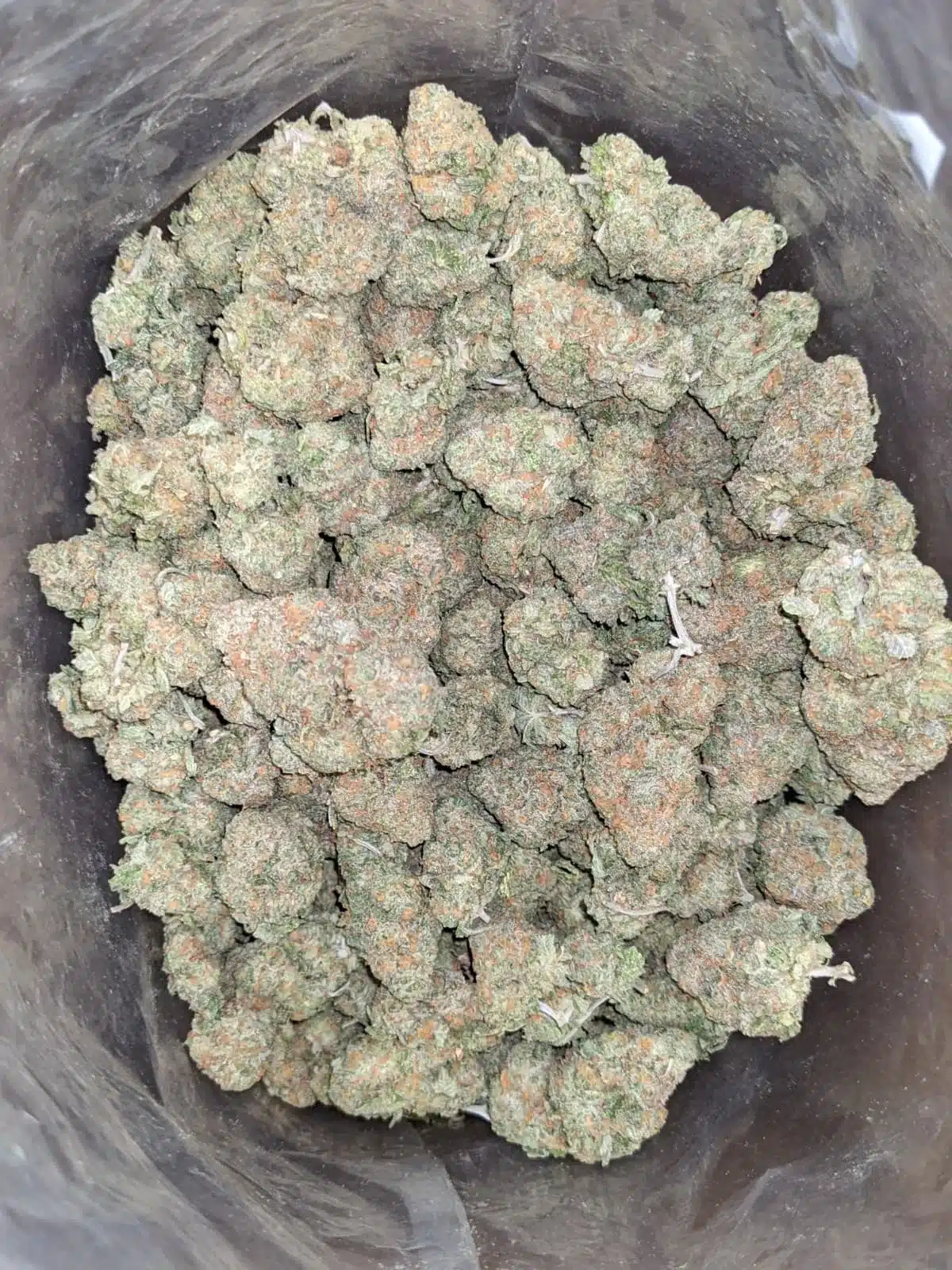 $ 59 Oz - Fruit Gusher - Image 4
