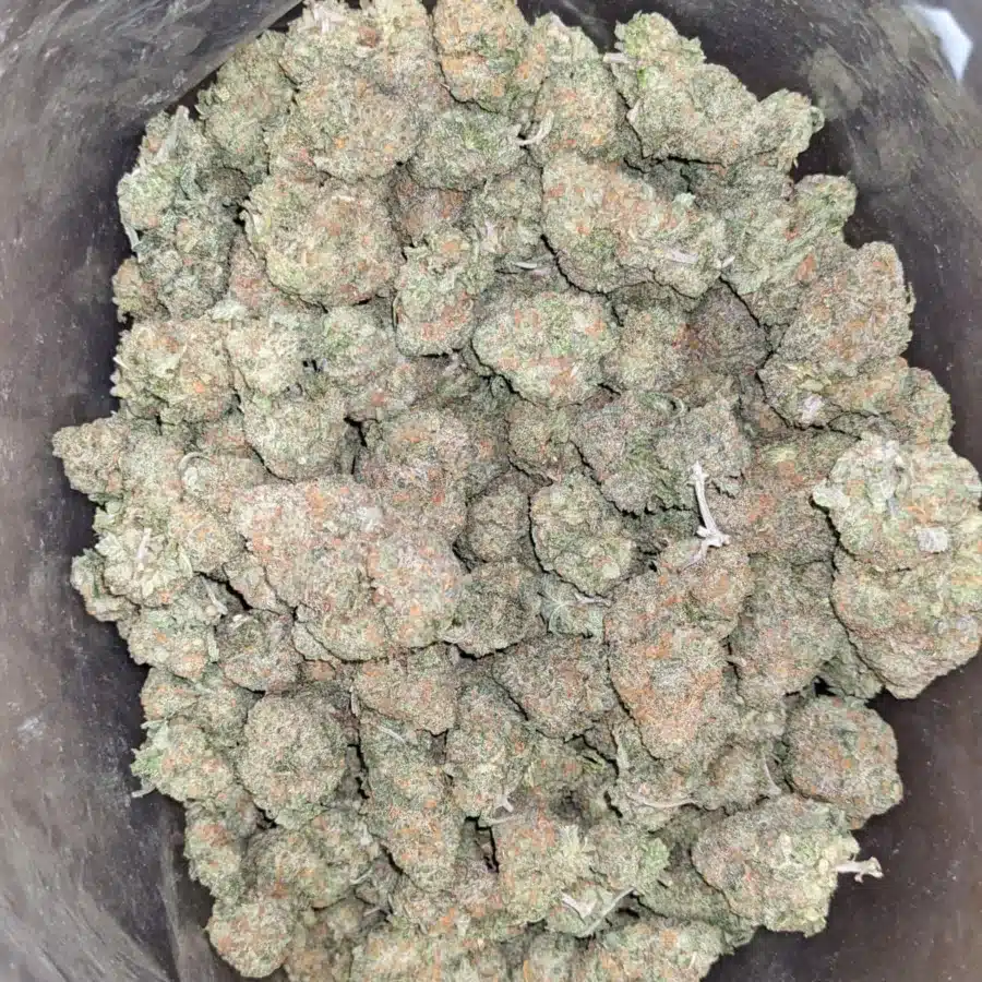 Fruit gushers 2 1 I $ 59 Oz - Fruit Gusher