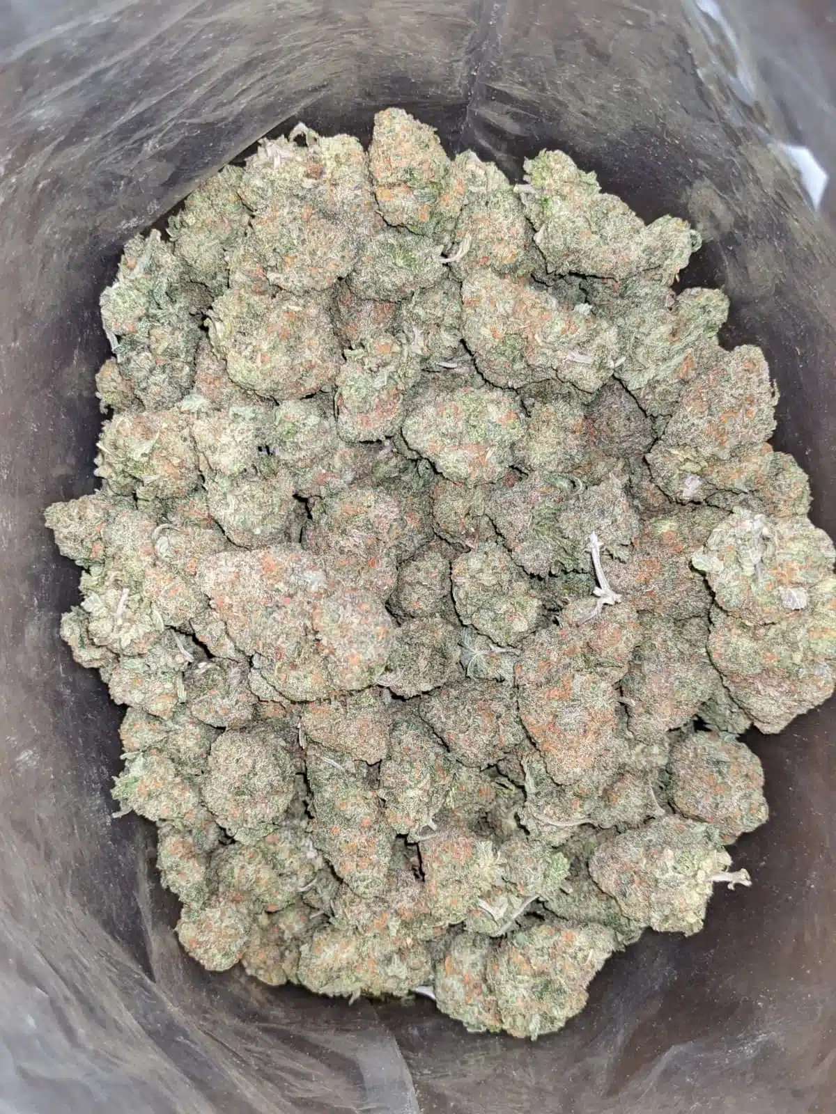 $ 59 Oz - Fruit Gusher - Image 5