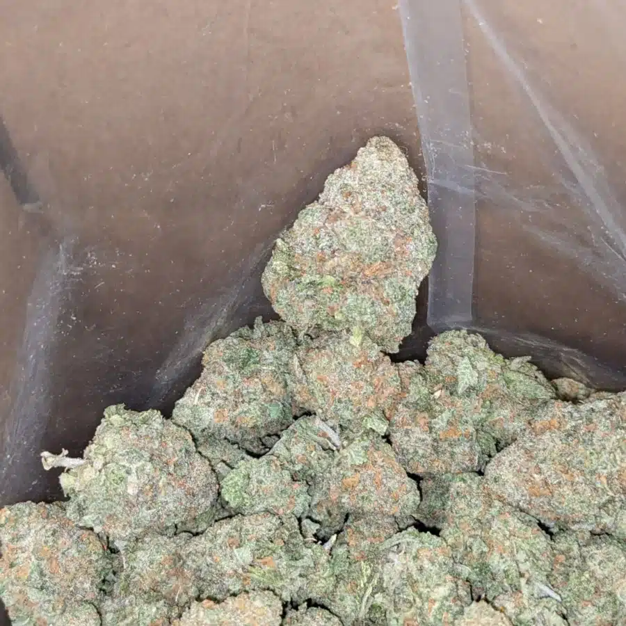 Fruit gushers 3 1 I $ 59 Oz - Fruit Gusher