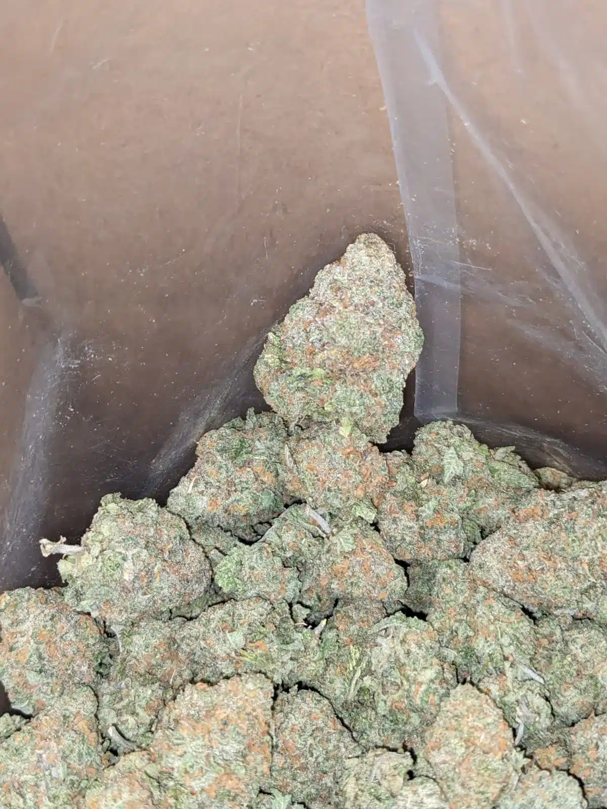$ 59 Oz - Fruit Gusher - Image 6