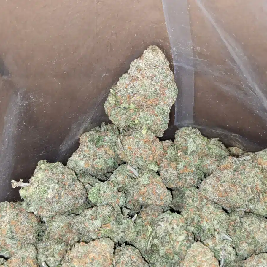 Fruit gushers 4 I $ 59 Oz - Fruit Gusher
