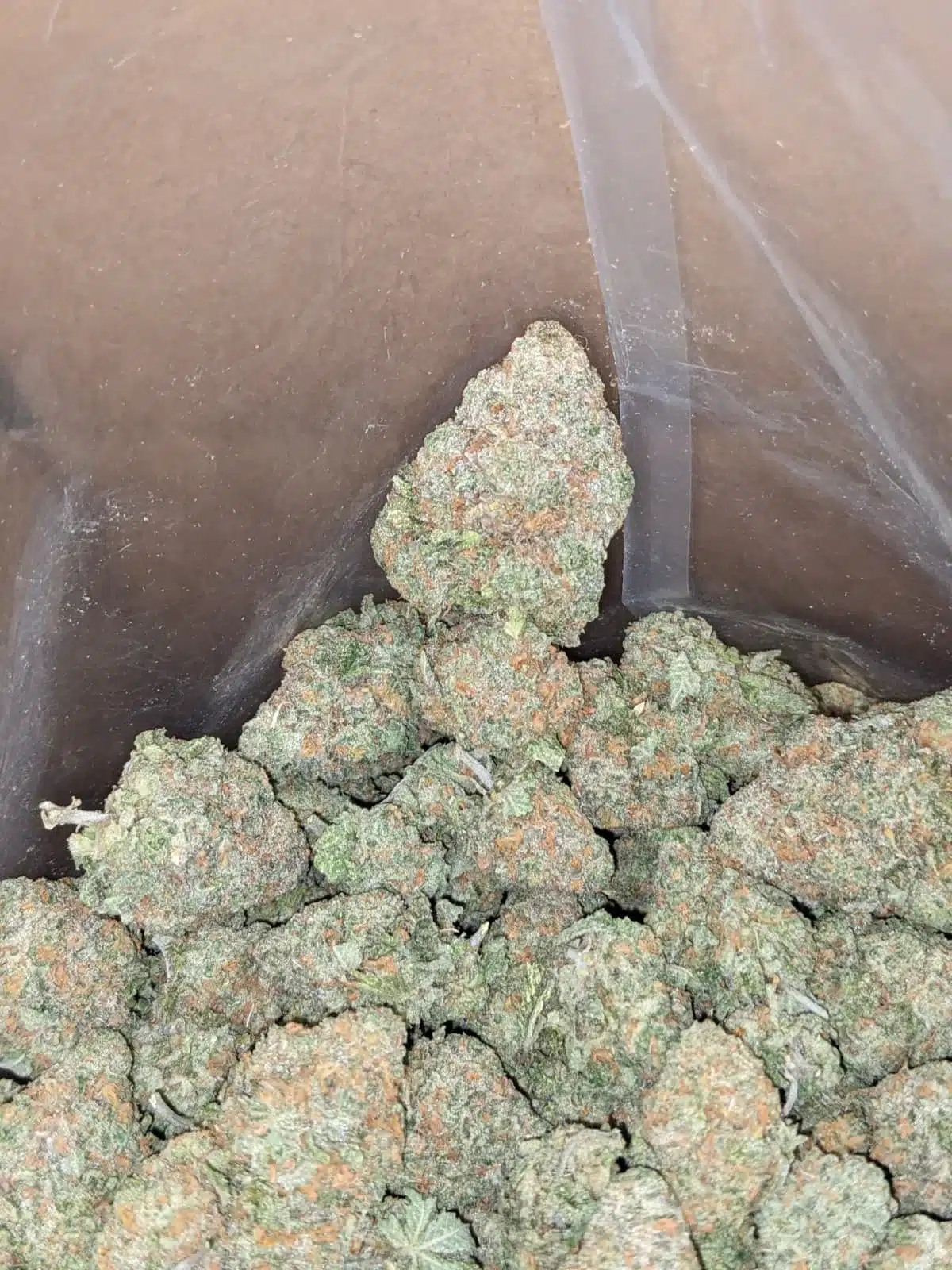 $ 59 Oz - Fruit Gusher - Image 7