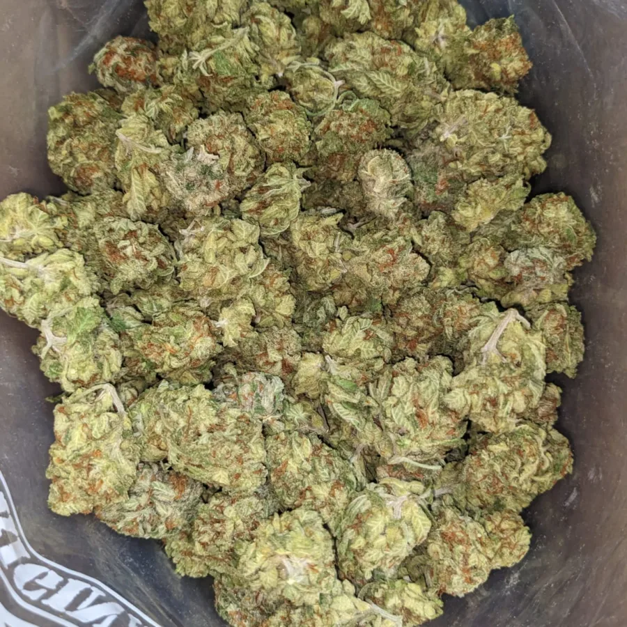 G 13 1 I G13