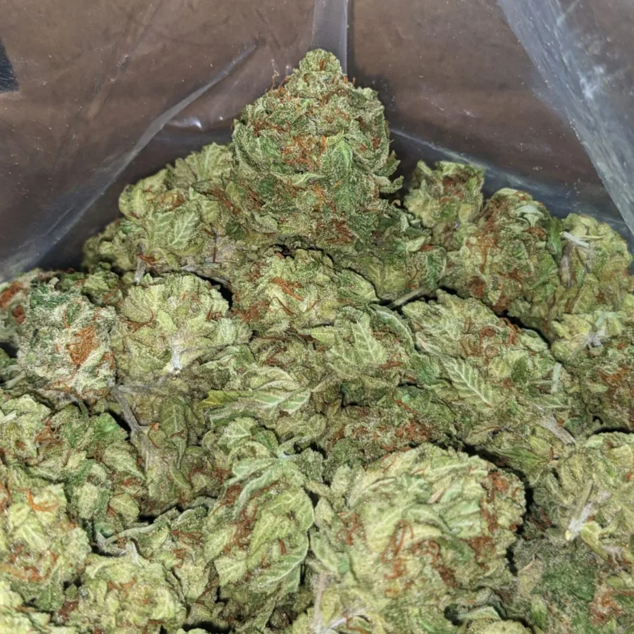 G 13 3 I G13