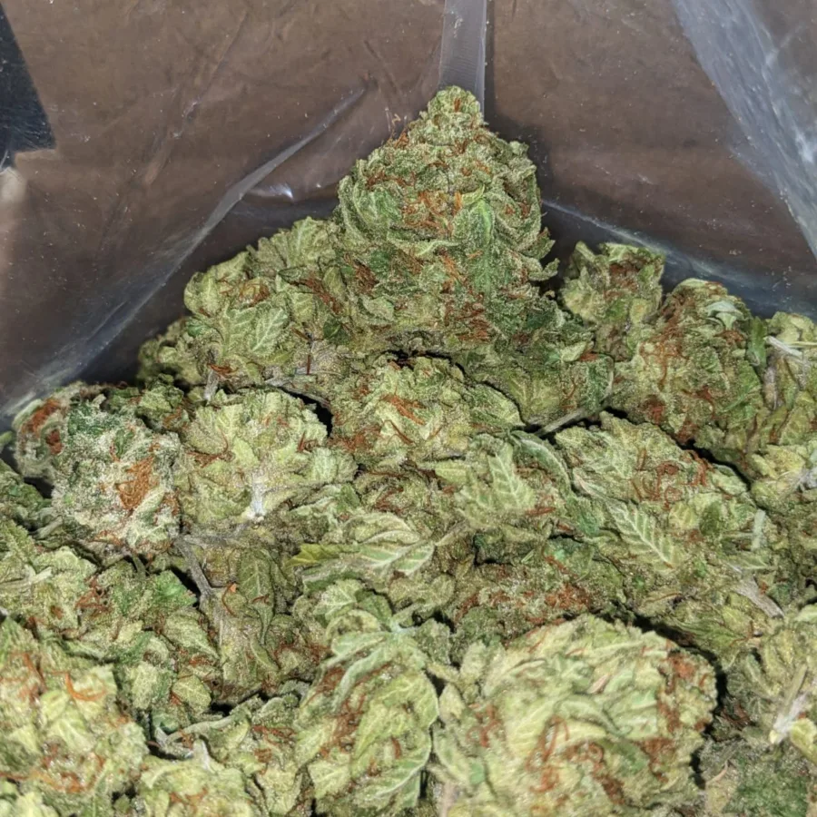 G 13 4 I G13