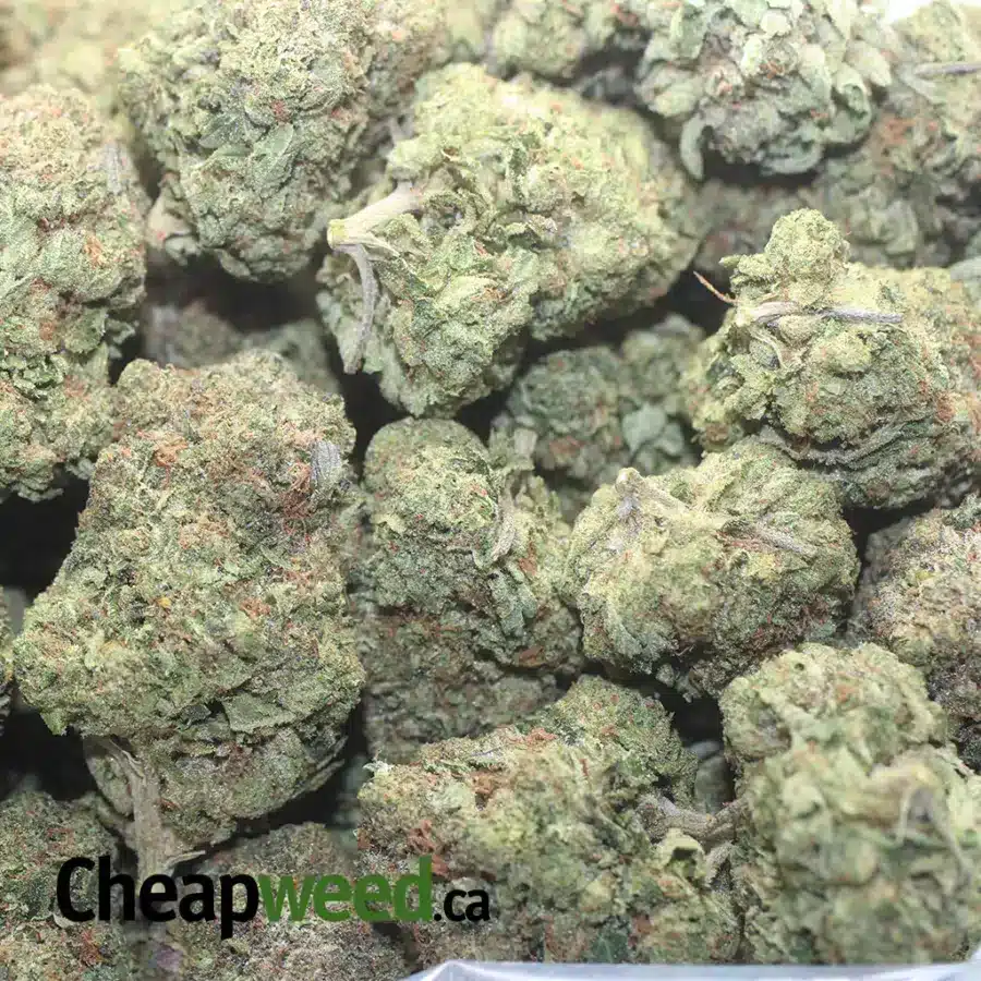 GOD BUBBA 1 1 I God Bubba #2