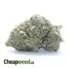 God Bubba #2