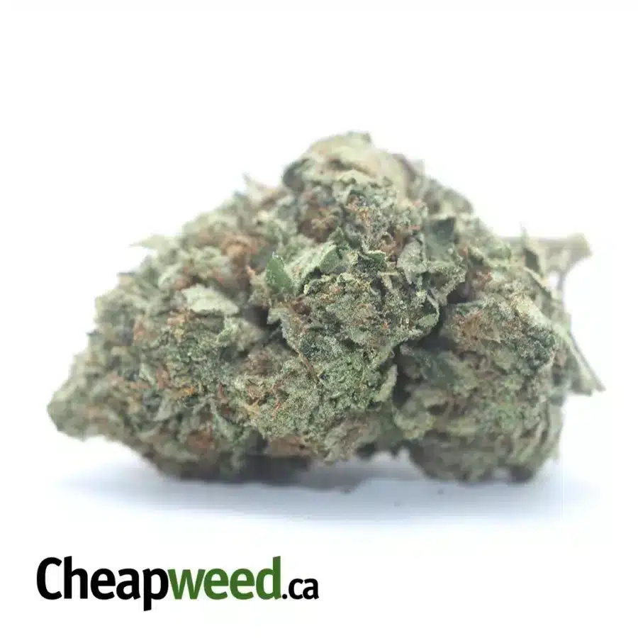 God Bubba #2