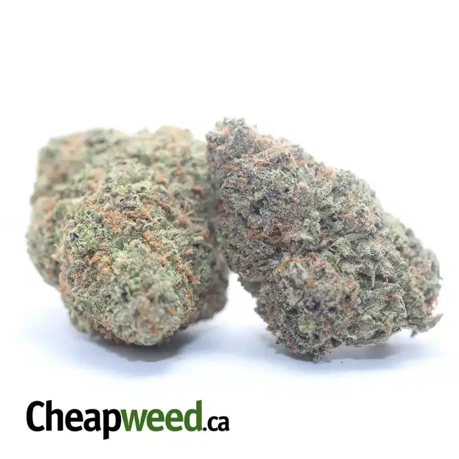 GREEN NUKEN 3 I Green Nuken