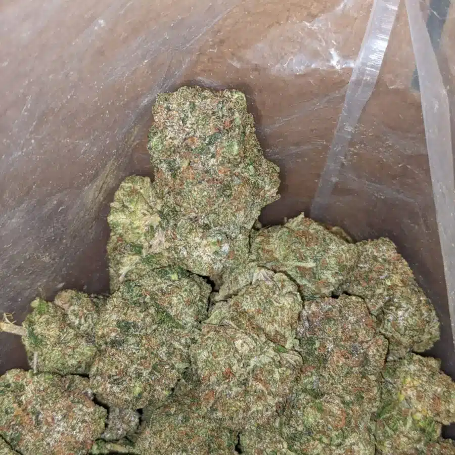 God Bubba 1 I God Bubba #2