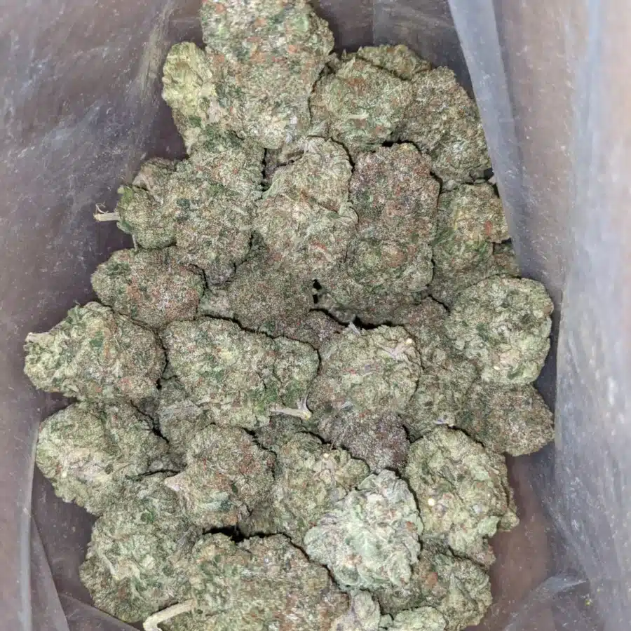 God Bubba 2 I God Bubba #2