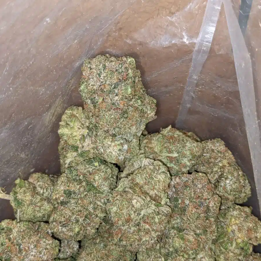 God Bubba 3 I God Bubba #2