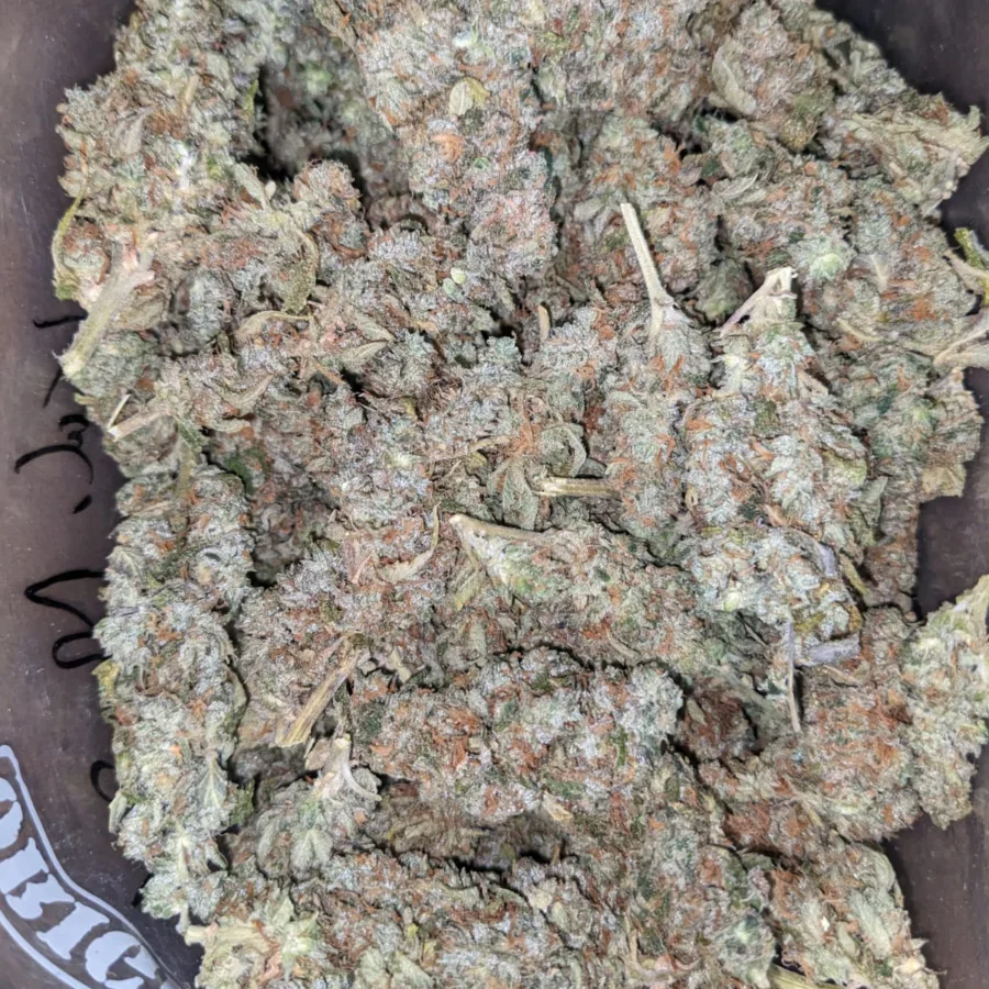 Alternative view of Kali Mist