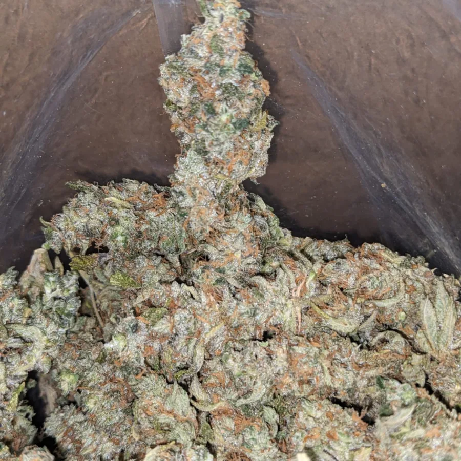 Kali Mist - Image 4