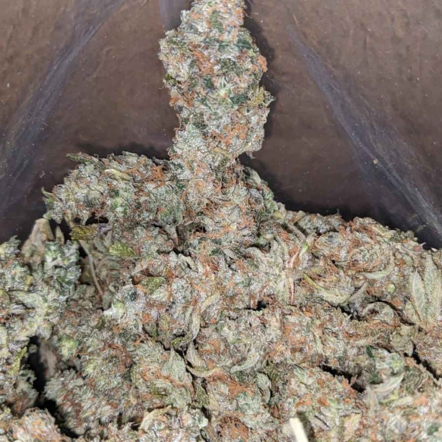 Kali Mist - Image 3
