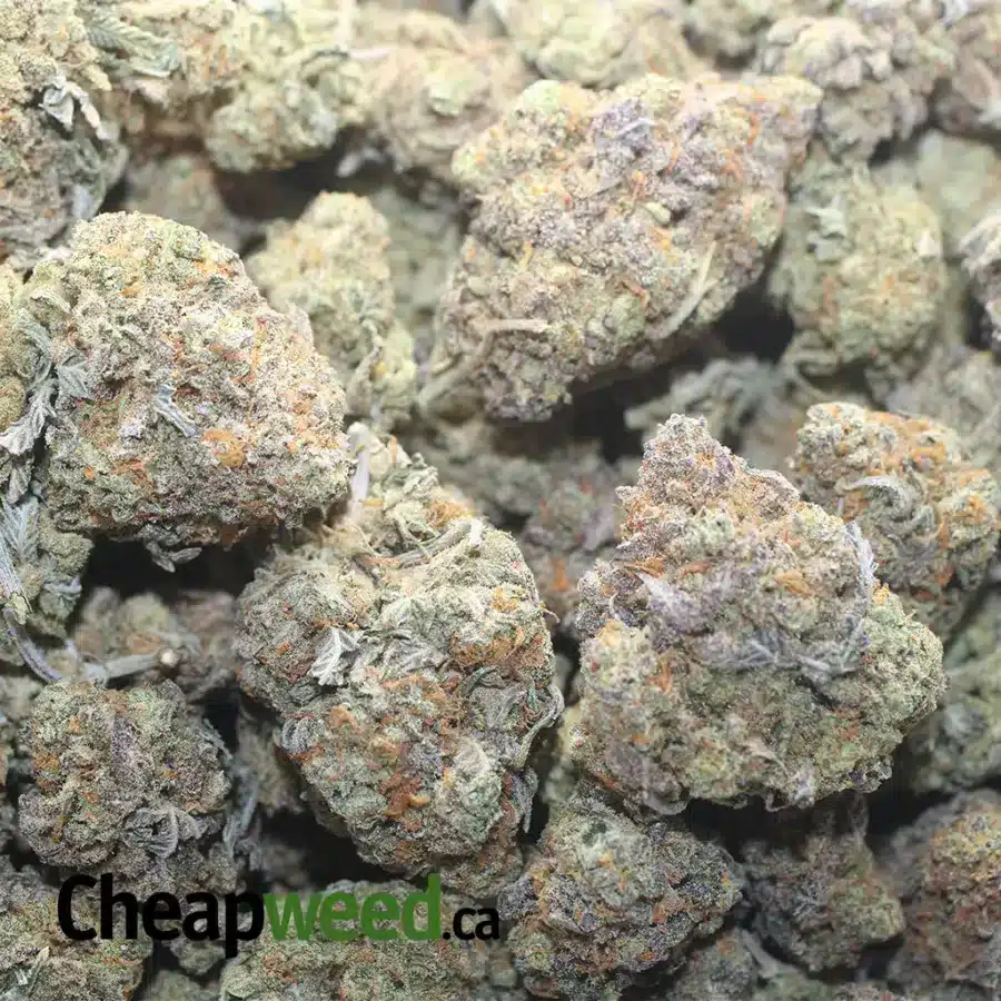 NINJA FRUIT 1 I $ 43 Oz- Ninja Fruit