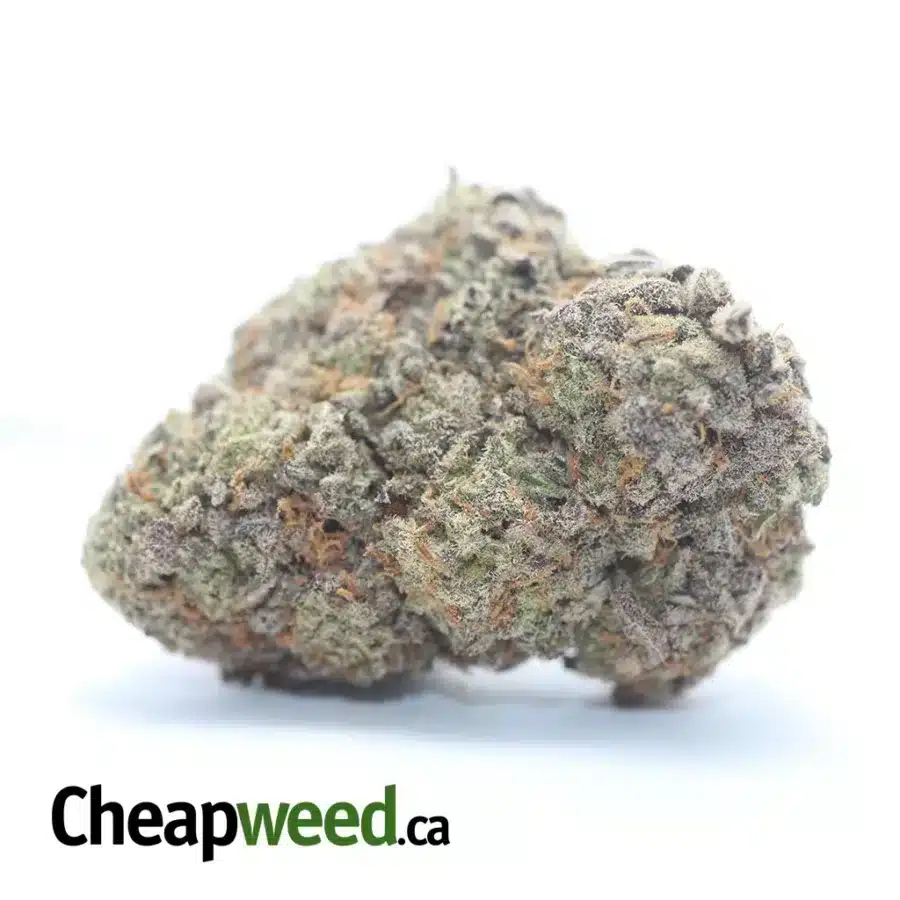 $ 43 Oz- Ninja Fruit