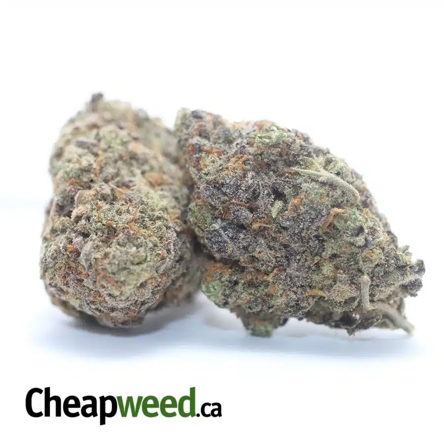 Alternative view of $ 43 Oz- Ninja Fruit