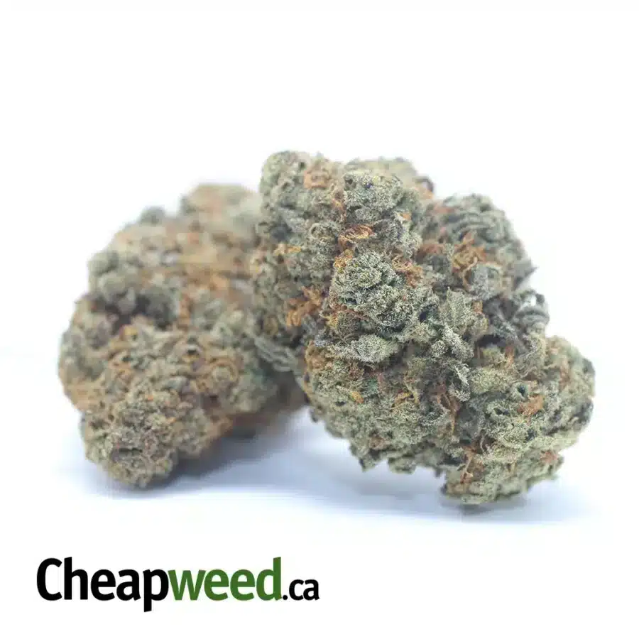 Alternative view of Orange Candy