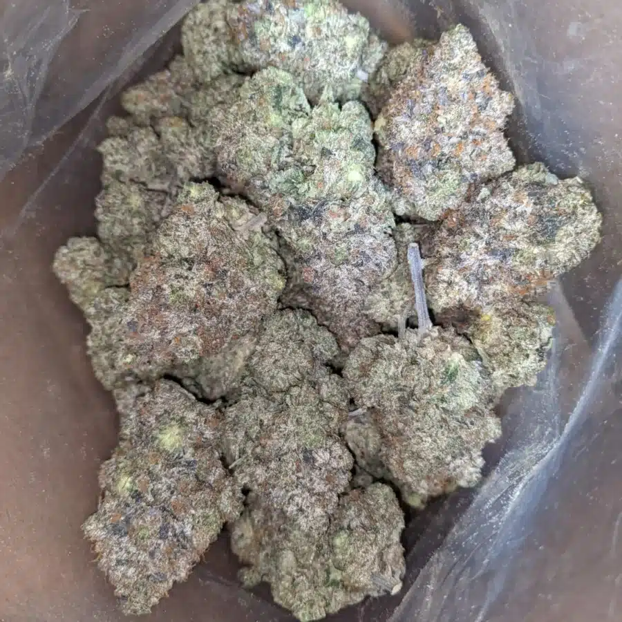 Alternative view of Pink Rockstar #2