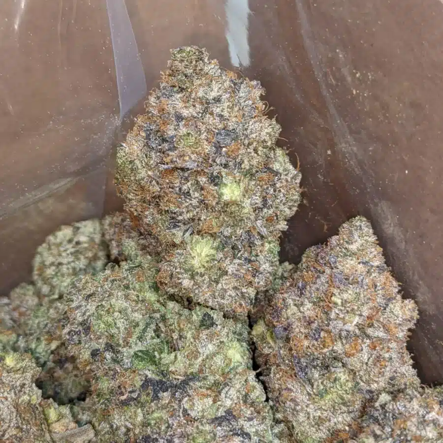 PINK ROCKSTAR 3 I Pink Rockstar #2