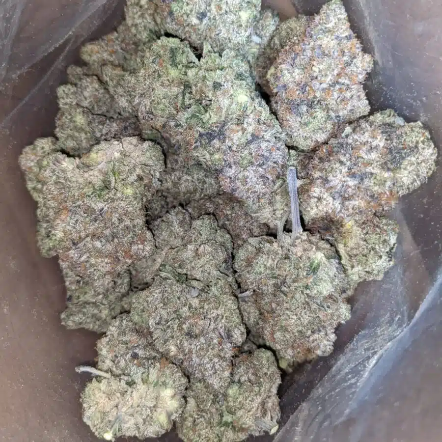 Pink Rockstar #2