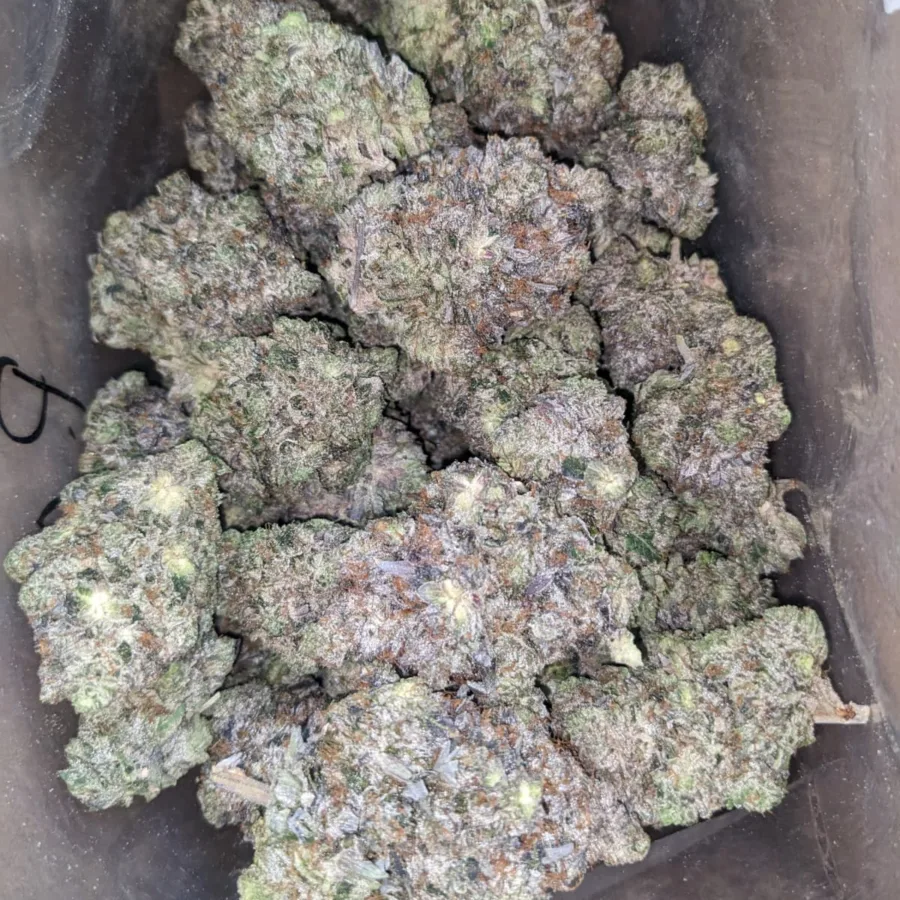 PURPLE AK 47 1 1 I Purple AK-47