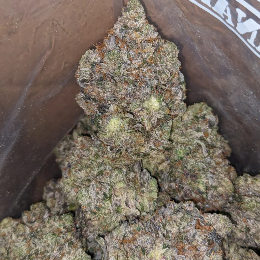 PURPLE AK 47 4 I Purple AK-47