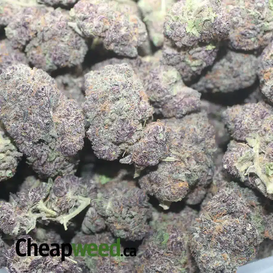 PURPLE VOODOO 1 I Purple Voodoo