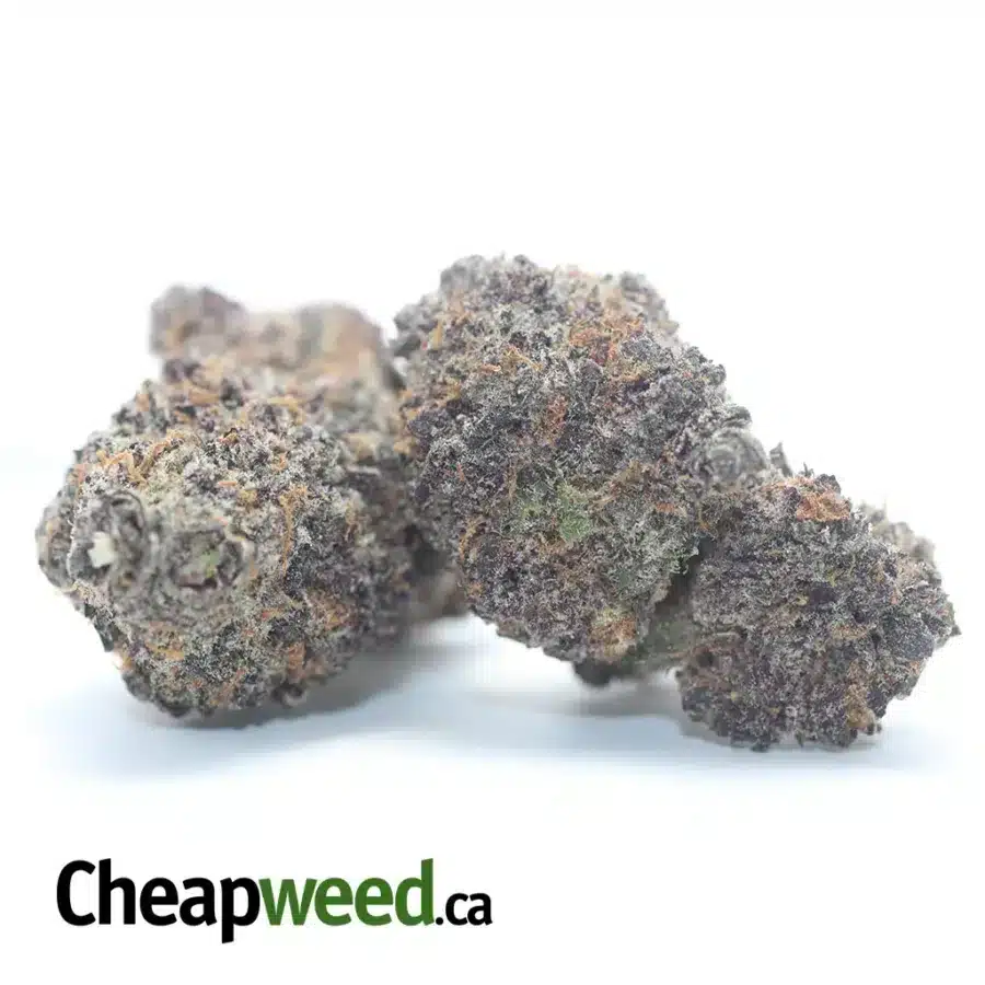 PURPLE VOODOO 3 I Purple Voodoo