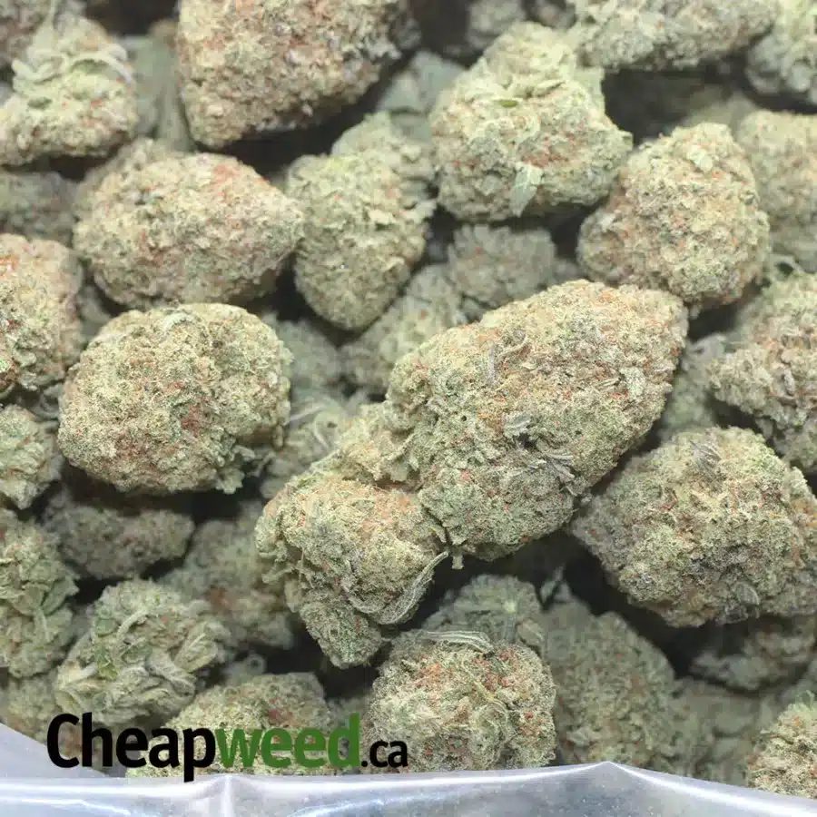 RAW DAWG 1 1 I Raw Dawg