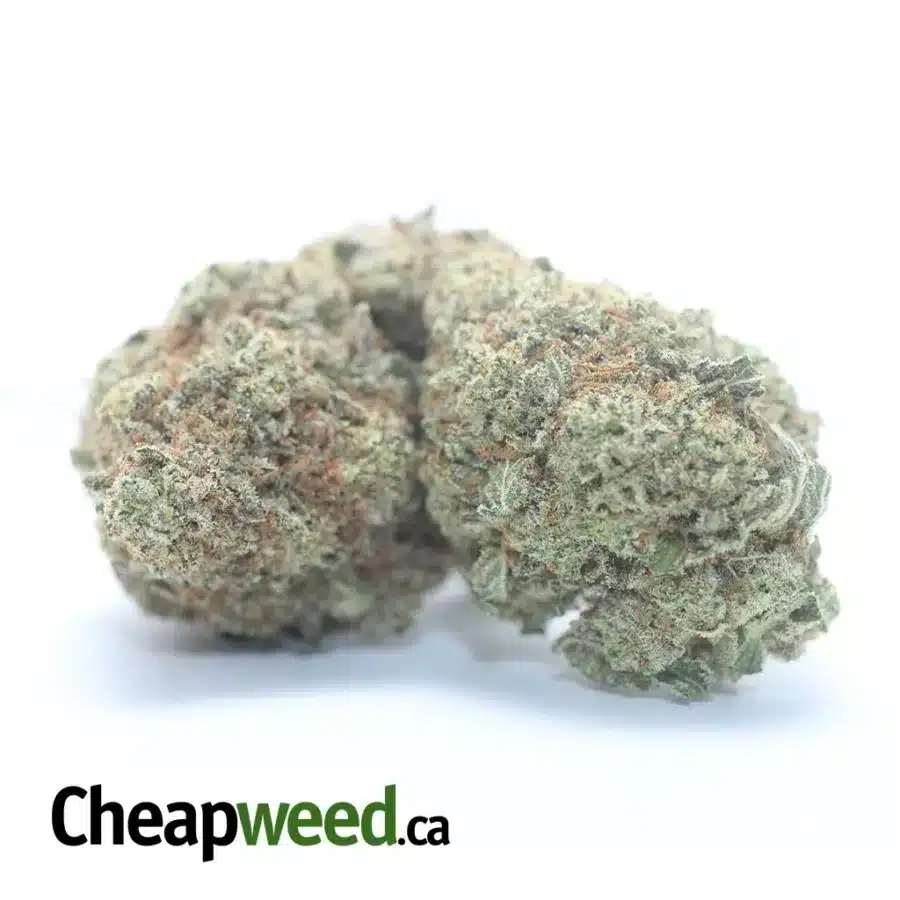 Alternative view of Raw Dawg