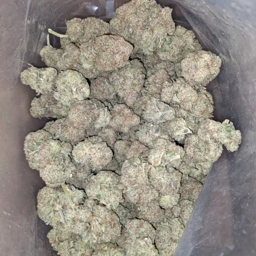 Raw dawg 1 I Raw Dawg
