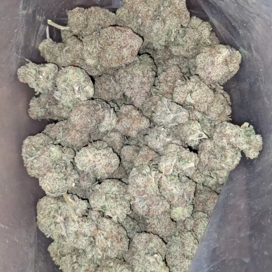 Raw dawg 2 I Raw Dawg