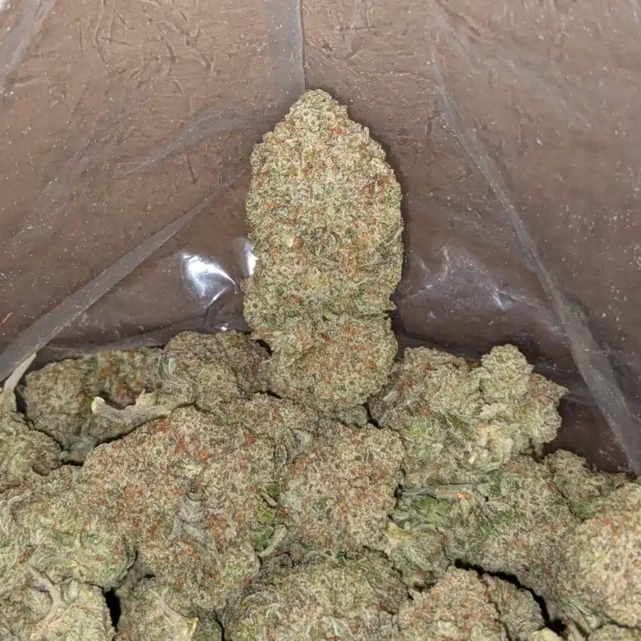 Raw dawg 3 I Raw Dawg